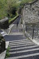 Cjp_2013_10_16_070922.jpg
