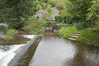 Cjp_2013_10_16_084710.jpg