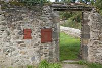 Cjp_2013_10_16_105610.jpg