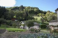 Cjp_2013_10_16_110900.jpg
