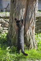 Cjp_2013_10_16_112246.jpg