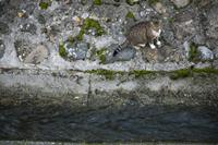 Cjp_2013_10_16_120548.jpg