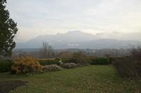 Cjp_2013_11_29_150220.jpg