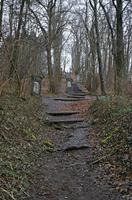 Cjp_2014_02_27_160504.jpg
