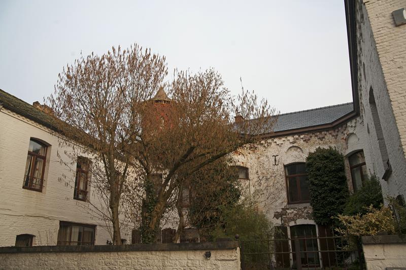 Cjp_2014_03_04_065238.jpg