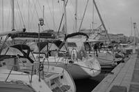Cjp_2014_05_20_184516_NB.jpg