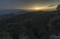 Cjp_2014_09_19_054110.jpg