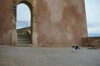 Cjp_2014_09_19_055800.jpg
