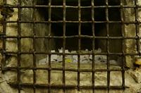 Cjp_2014_09_19_081152.jpg
