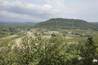 Cjp_2014_09_19_112544.jpg