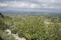Cjp_2014_09_19_112550.jpg