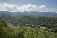 Cjp_2014_09_19_113426.jpg