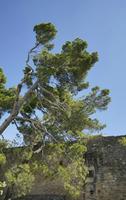 Cjp_2014_09_19_115306.jpg