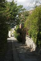 Cjp_2014_09_19_121324.jpg