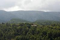 Cjp_2014_09_19_121544.jpg