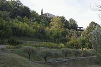 Cjp_2014_09_19_122810.jpg