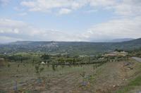Cjp_2014_09_19_124800.jpg