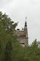 Cjp_2014_09_19_131556.jpg