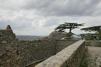 Cjp_2014_09_19_133042.jpg