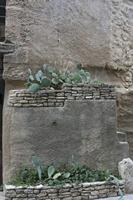 Cjp_2014_09_19_134900.jpg