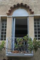 Cjp_2014_09_19_135918.jpg