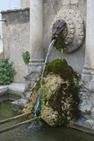 Cjp_2014_09_20_064004.jpg