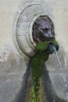 Cjp_2014_09_20_065126.jpg