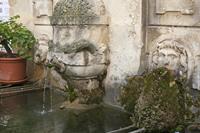 Cjp_2014_09_20_065508.jpg