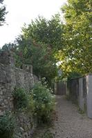 Cjp_2014_09_20_065650.jpg