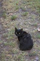Cjp_2014_09_20_065810.jpg