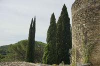 Cjp_2014_09_20_081312.jpg