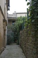 Cjp_2014_09_20_112800.jpg