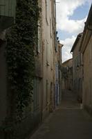 Cjp_2014_09_20_113114.jpg