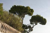 Cjp_2014_09_21_071440.jpg