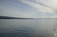 Cjp_2014_09_21_074026.jpg