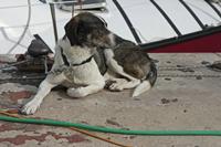Cjp_2014_09_21_082658.jpg