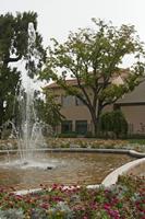 Cjp_2014_09_21_085228.jpg