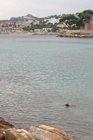 Cjp_2014_09_21_123322.jpg