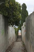 Cjp_2014_09_21_130136.jpg