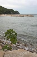 Cjp_2014_09_22_061620.jpg