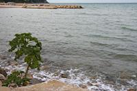 Cjp_2014_09_22_061628.jpg