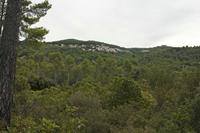 Cjp_2014_09_22_073430.jpg