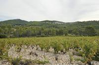 Cjp_2014_09_22_073636.jpg
