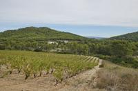 Cjp_2014_09_22_073846.jpg