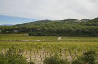 Cjp_2014_09_22_074142.jpg