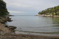 Cjp_2014_09_22_080118.jpg
