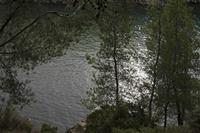 Cjp_2014_09_22_080358.jpg