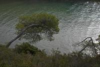 Cjp_2014_09_22_080522.jpg