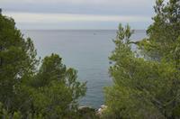 Cjp_2014_09_22_080704.jpg