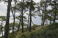 Cjp_2014_09_22_081318.jpg